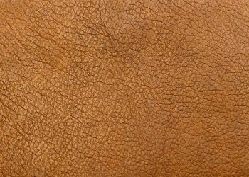 Unveiling the Future: The Top Fashion Designers to Watch