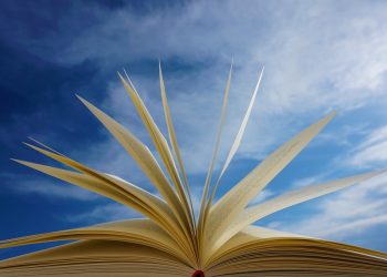 Clever: The Innovative Solution for Streamlining Daily Tasks