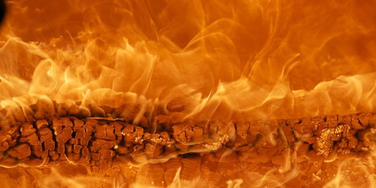 How [Brand] Transformed an Industry and Captivated Consumers