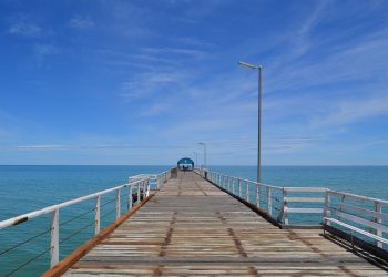 The Timeless Appeal of Henley Shirts: A Wardrobe Staple for Every Season