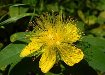 The ultimate guide to choosing the perfect long johns for winter