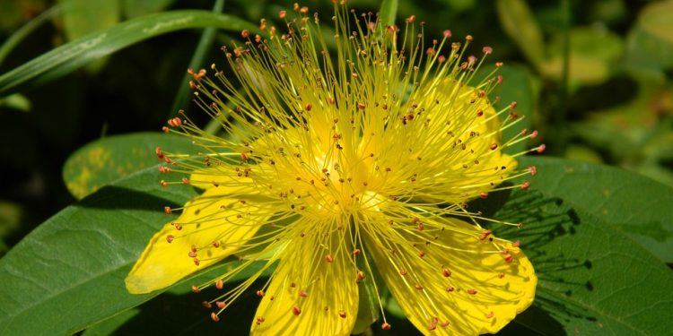 The ultimate guide to choosing the perfect long johns for winter