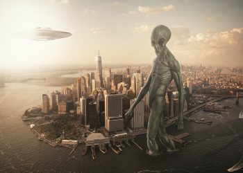 Exciting New Arrivals: The Hottest Trends and Must-Have Items