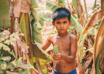 Transgender Rights: Battling Discrimination and Advocating for Inclusivity