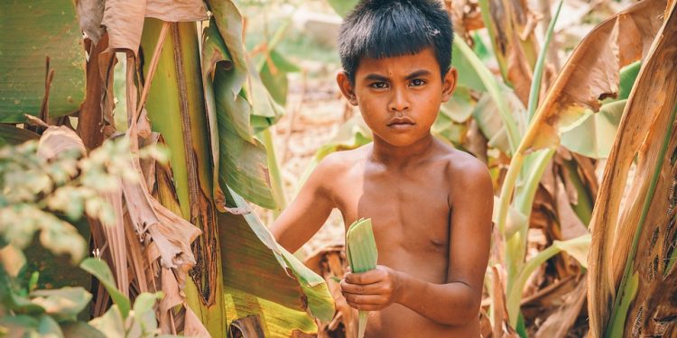 Transgender Rights: Battling Discrimination and Advocating for Inclusivity