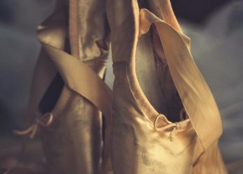 From Comfort to Style: The Evolution of Slippers