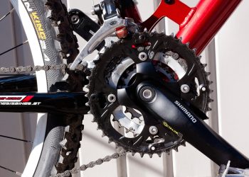 Choosing the Right Sports Bottoms: Form and Function in Athletics