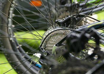 Breaking the Mold: Innovative Sports Bottoms for the Modern Athlete