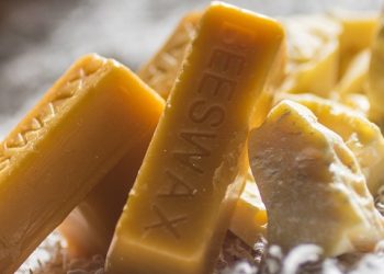 Skin Savior: Transform Your Complexion with These High-Performance Products