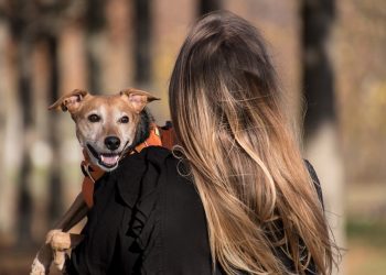 Streamlining DevOps: Harness Emerges as a Game-Changer