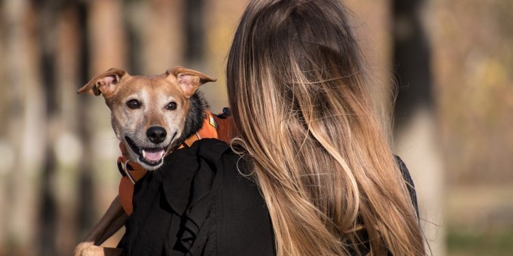 Streamlining DevOps: Harness Emerges as a Game-Changer