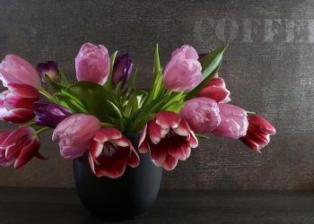 The Rise of Minimalism: Embracing a Simpler and More Meaningful Lifestyle