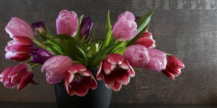 The Rise of Minimalism: Embracing a Simpler and More Meaningful Lifestyle