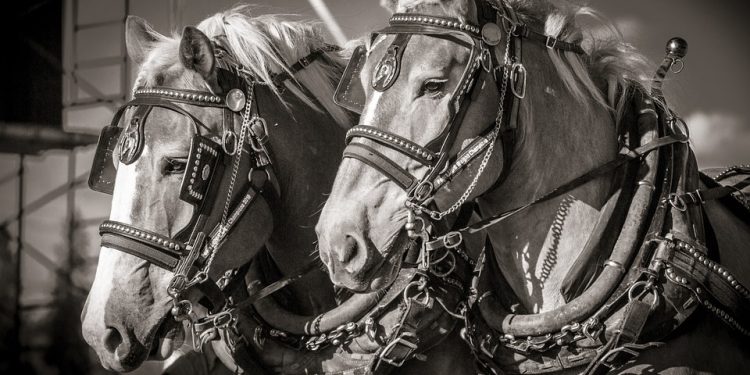 Harness: The Cutting-Edge Platform Redefining Continuous Integration