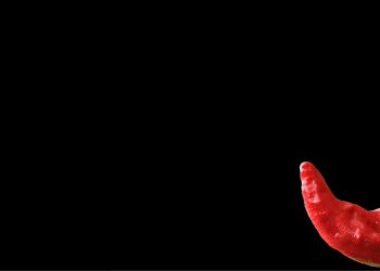 Heat Seekers Unite: Dive into the Deliciousness of Pikante