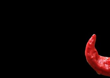 Spice Up Your Palate: Unraveling the Secrets of Pikante Cuisine