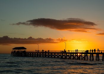 Why Henley Shirts Are the Ultimate Casual-Chic Style Upgrade