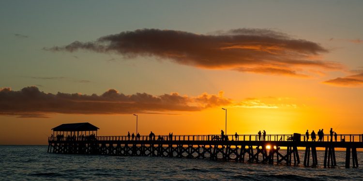 Why Henley Shirts Are the Ultimate Casual-Chic Style Upgrade