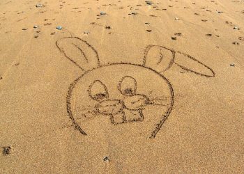 4) From Boxers to Briefs: Unveiling the Latest Trends in Men’s Underwear