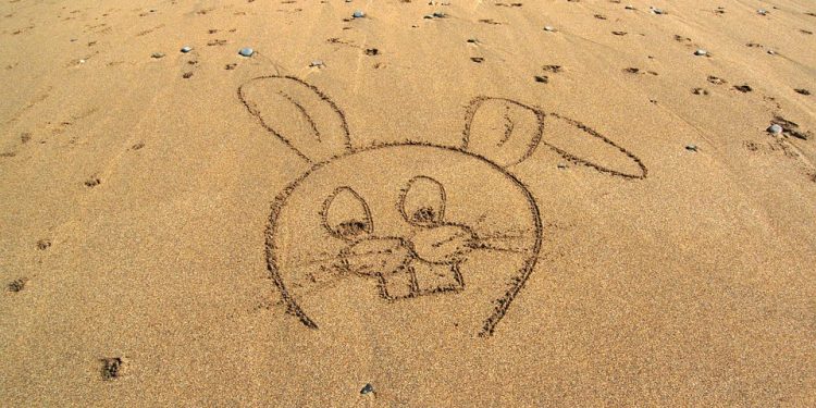 4) From Boxers to Briefs: Unveiling the Latest Trends in Men’s Underwear