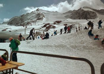 Investing in Quality: Why Sports Bottoms are Essential for Performance