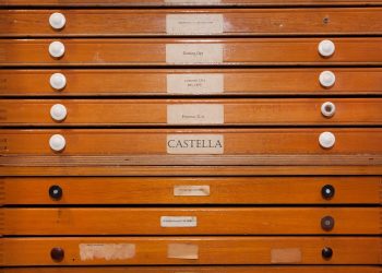 6) Briefs: Not Just for Men Anymore – The Rise of Women’s Briefs