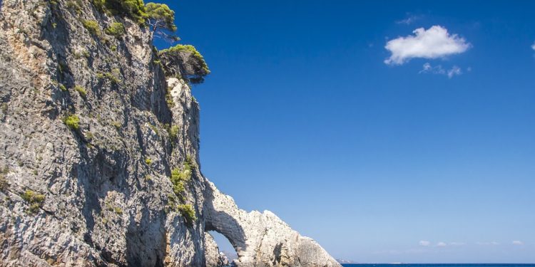 Bikini Confidence: How Swimwear Can Boost Body Positivity