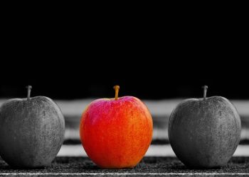 Unico: A Symbol of Hope and Friendship in the Anime Universe