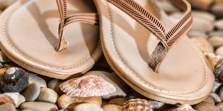 Unveiling the Truth of Thongs: What You Should Know