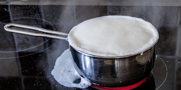 Why Consumers Can’t Get Enough of [Brand] – Cracking the Code to Customer Loyalty