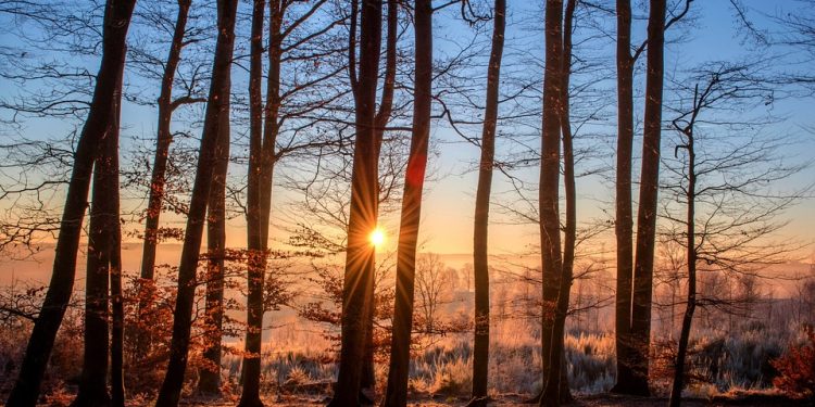 From Travel Necessity to Fashion Statement: How Trunks Have Transformed