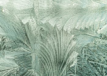 Embrace Your Sensuality with Magic Silk’s Luxurious Silk Nightwear