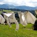 The Secrets Hidden Beneath: Exploring the Psychology of Underwear
