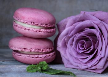 From Underdog to Market Leader: [Brand]’s Journey to the Top