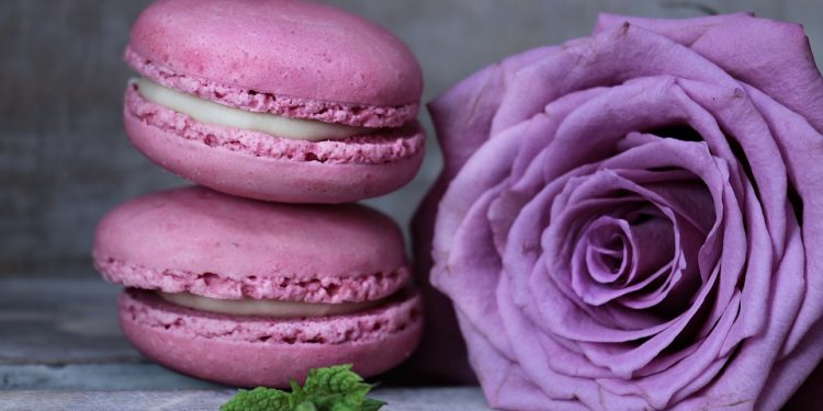 From Underdog to Market Leader: [Brand]’s Journey to the Top