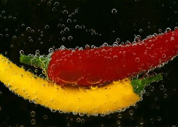 Beyond Hot Sauce: Exploring the Richness and Variety of Pikante Delights