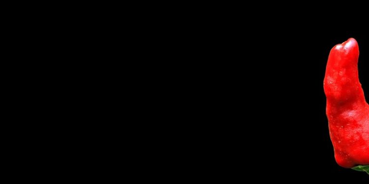 Fire Up Your Taste Buds: Unveiling the Bold Flavors of Pikante