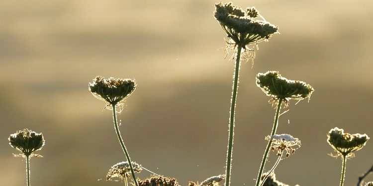 Jordan’s Rich Cultural Heritage: Unearthing the History and Traditions