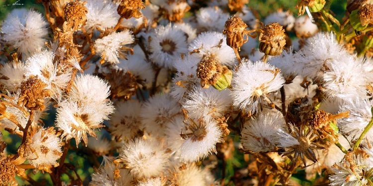 The Dead Sea: A Natural Wonder and Health Retreat in Jordan