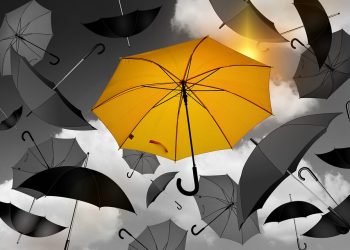 Behind the Creation of Unico: A Look into the Mastermind’s Vision