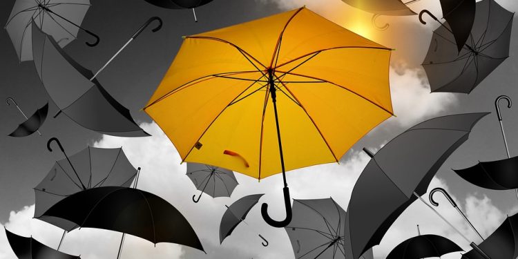 Behind the Creation of Unico: A Look into the Mastermind’s Vision