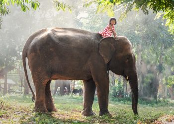 Stay One Step Ahead with Clever: The Ultimate Tool for Modern Success