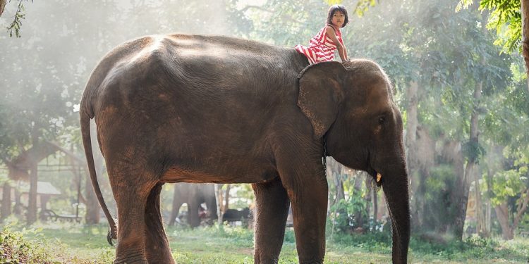 Stay One Step Ahead with Clever: The Ultimate Tool for Modern Success