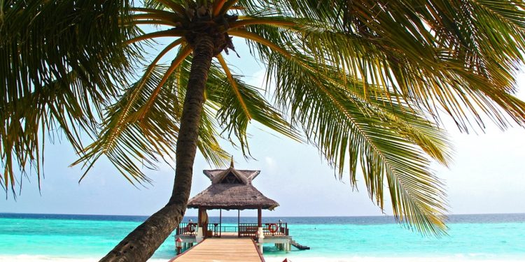 The Legacy of Unico: How This Forgotten Gem Continues to Inspire New Generations