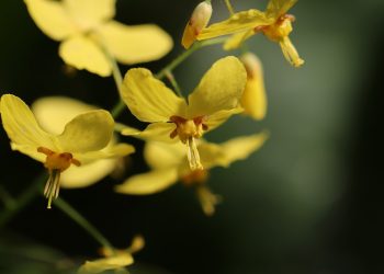 Don’t underestimate the power of socks: How they can transform your outfit.