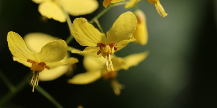 Don’t underestimate the power of socks: How they can transform your outfit.