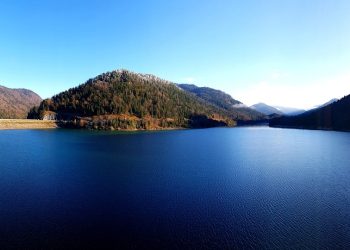 Unleash Your Inner Fashionista: How to Rock Tank Tops with Confidence