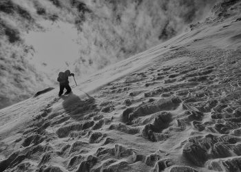 Simplifying Software Delivery Complexity: Harness is Changing the Game