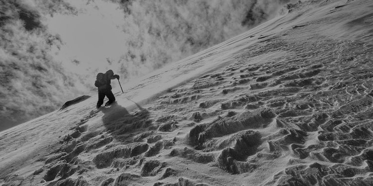 Simplifying Software Delivery Complexity: Harness is Changing the Game