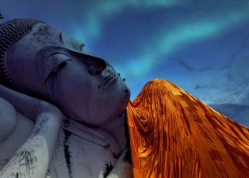 Thongs vs. Briefs: Which Reigns Supreme in Comfort and Style?